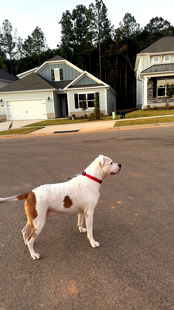 julia.filippo image ~ Altpins