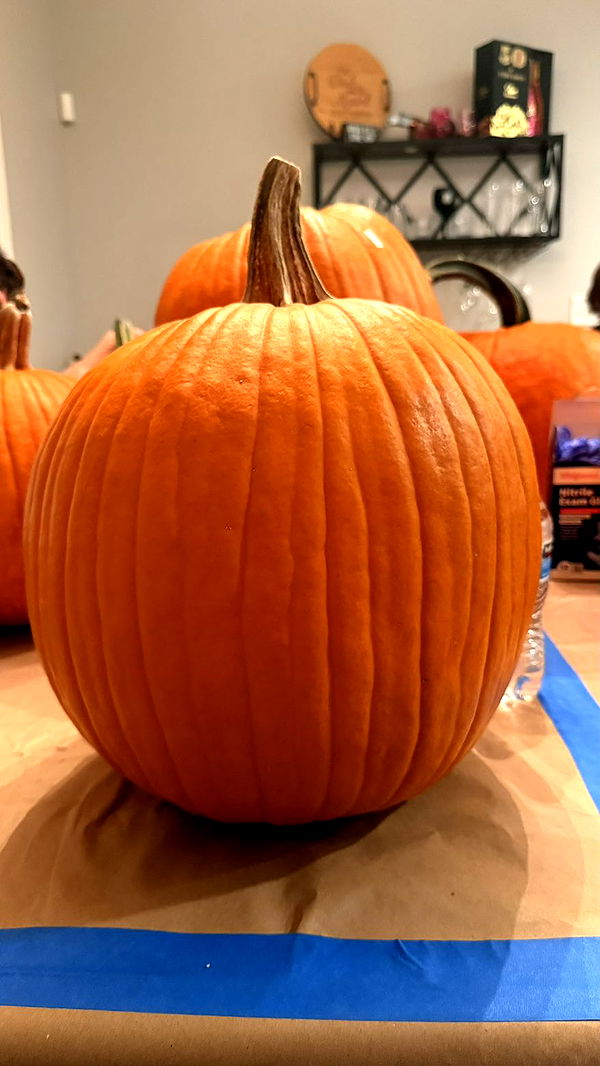 julia.filippo image ~ Altpins