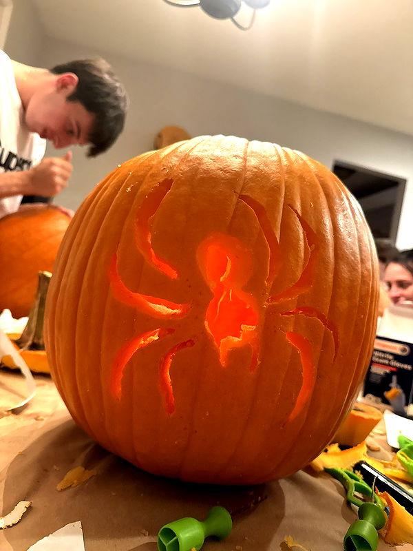 julia.filippo image ~ Altpins