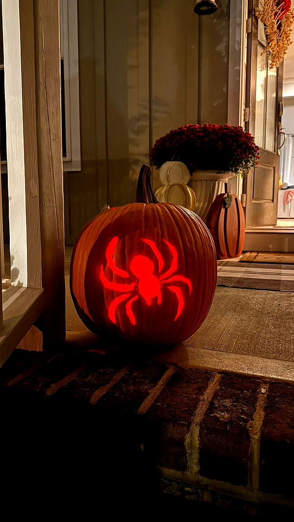 julia.filippo image ~ Altpins