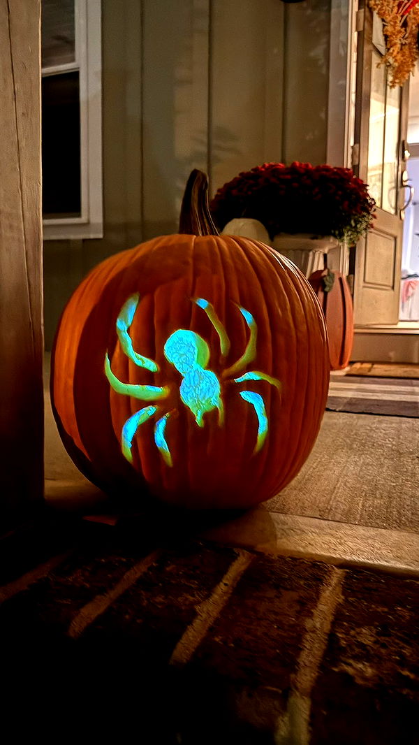 julia.filippo image ~ Altpins