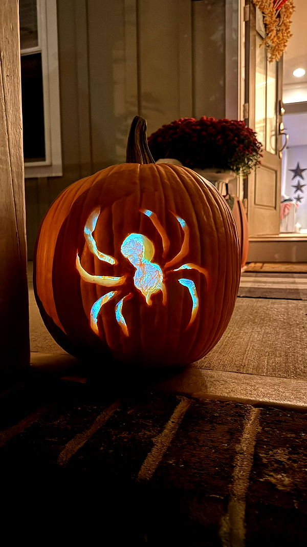 julia.filippo image ~ Altpins