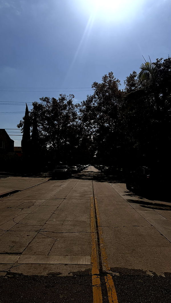 julia.filippo image ~ Altpins