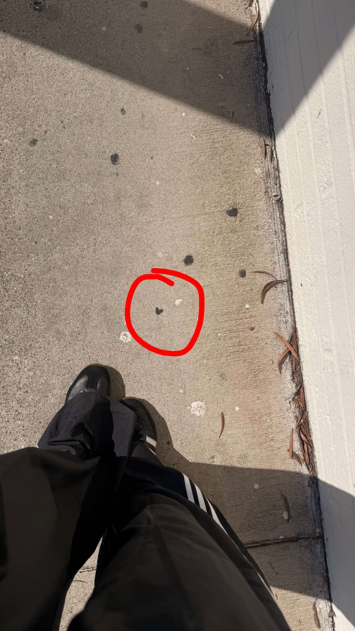 julia.filippo snapchat image archive image