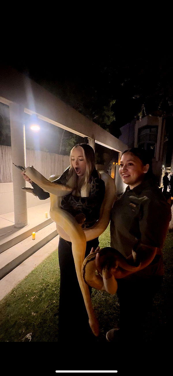 julia.filippo image ~ Altpins