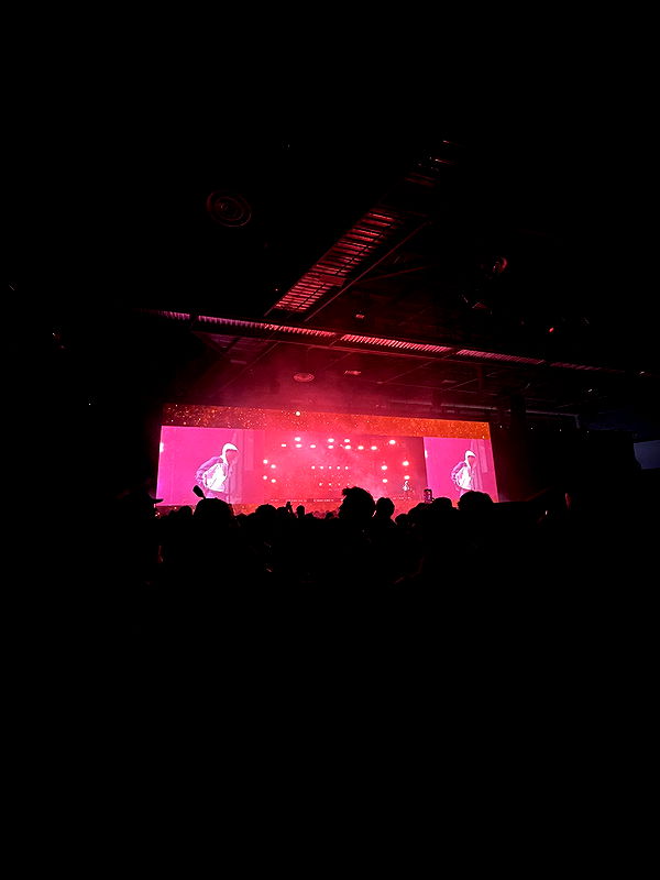 julia.filippo image ~ Altpins