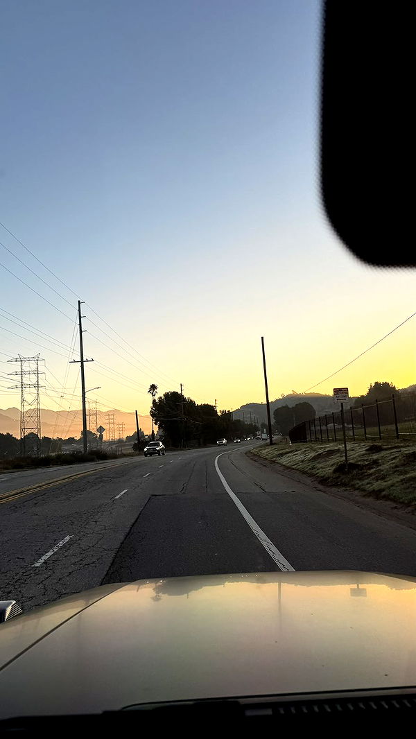 julia.filippo image ~ Altpins