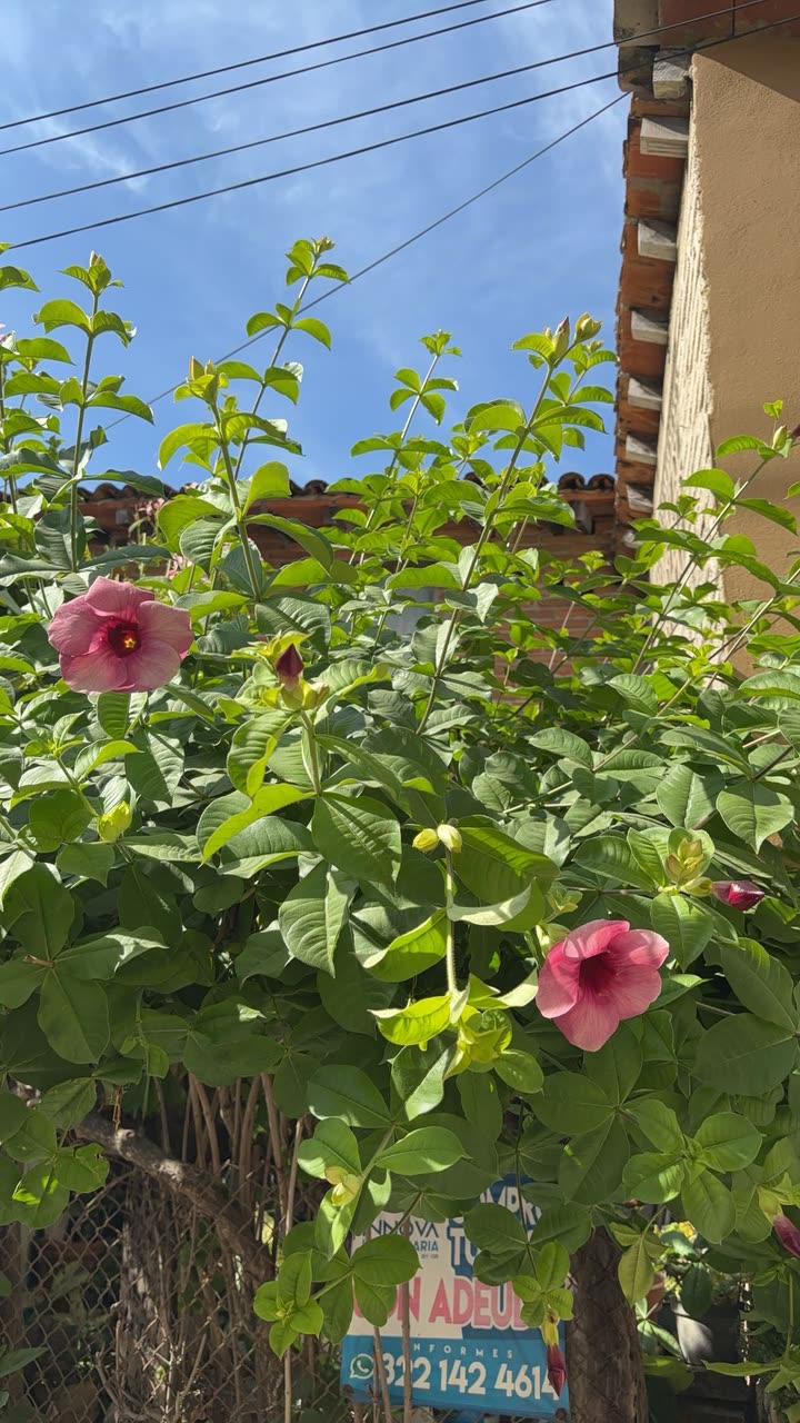 kaiileymae snapchat image archive image