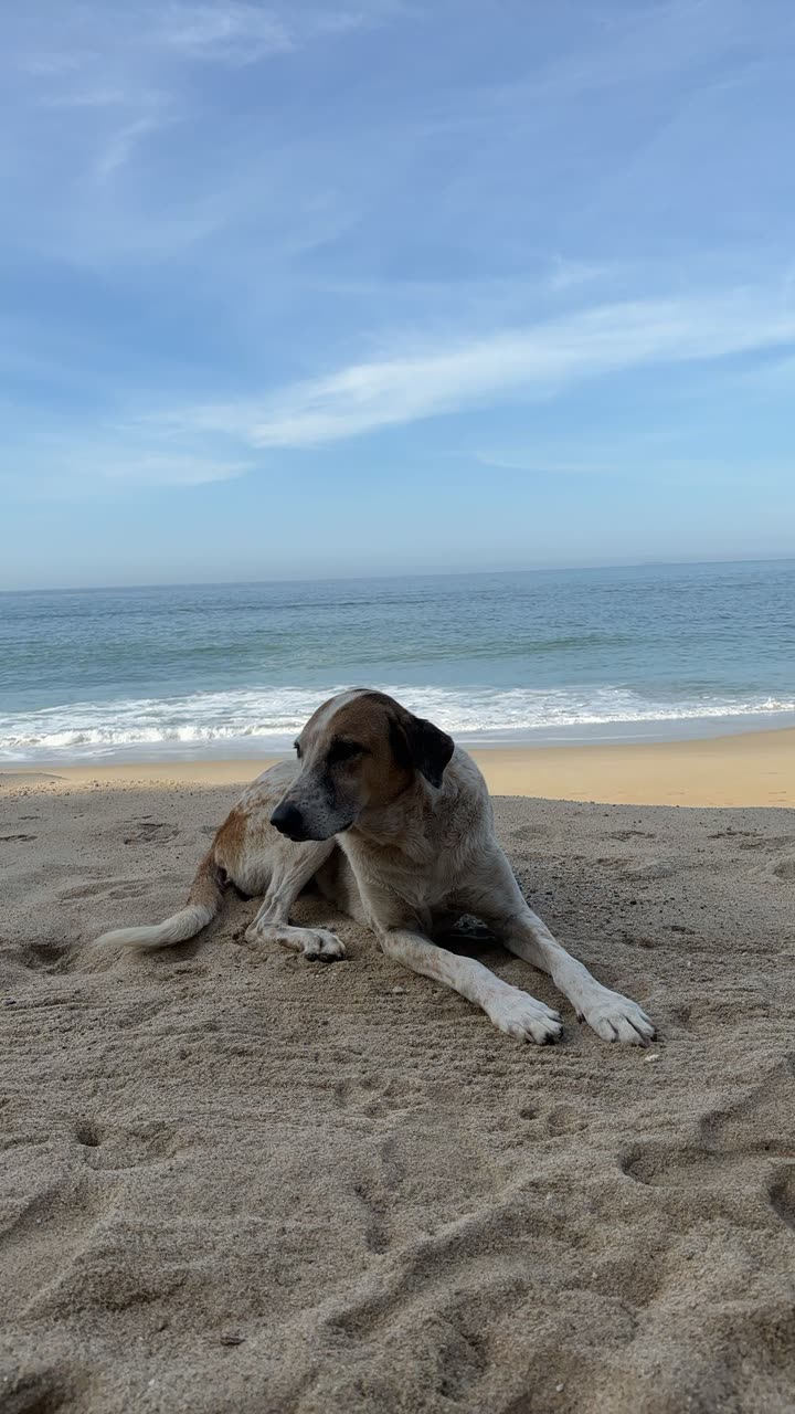 kaiileymae snapchat image archive image