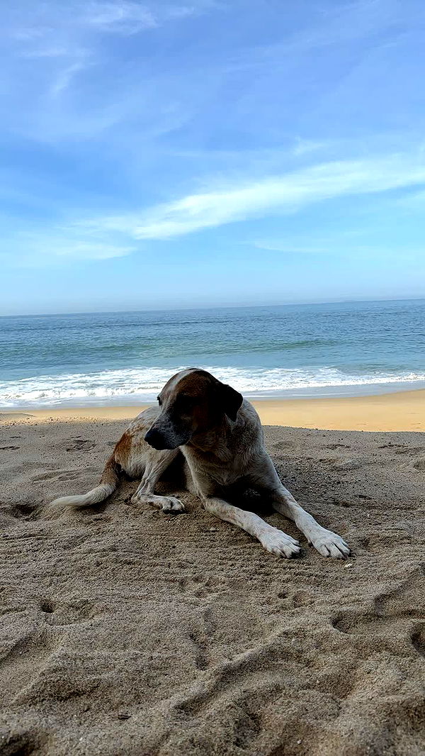 kaiileymae image ~ Altpins