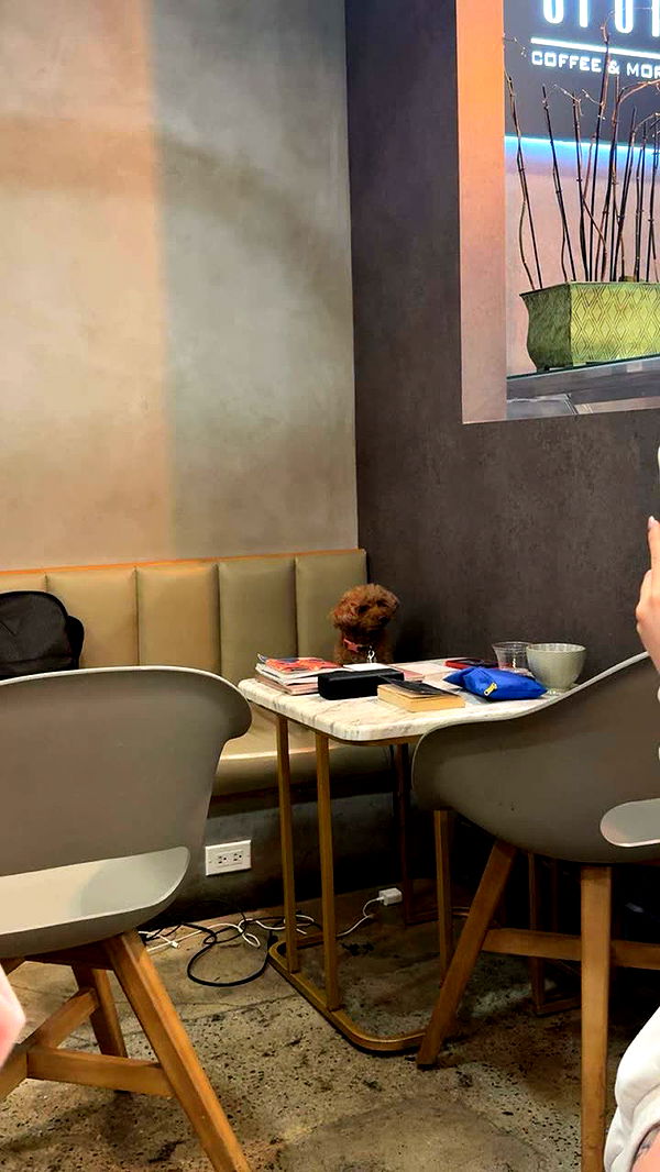 kaiileymae image ~ Altpins