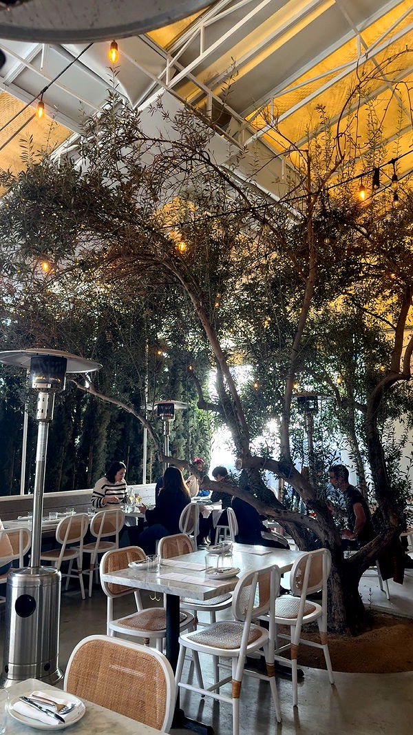 kaiileymae image ~ Altpins