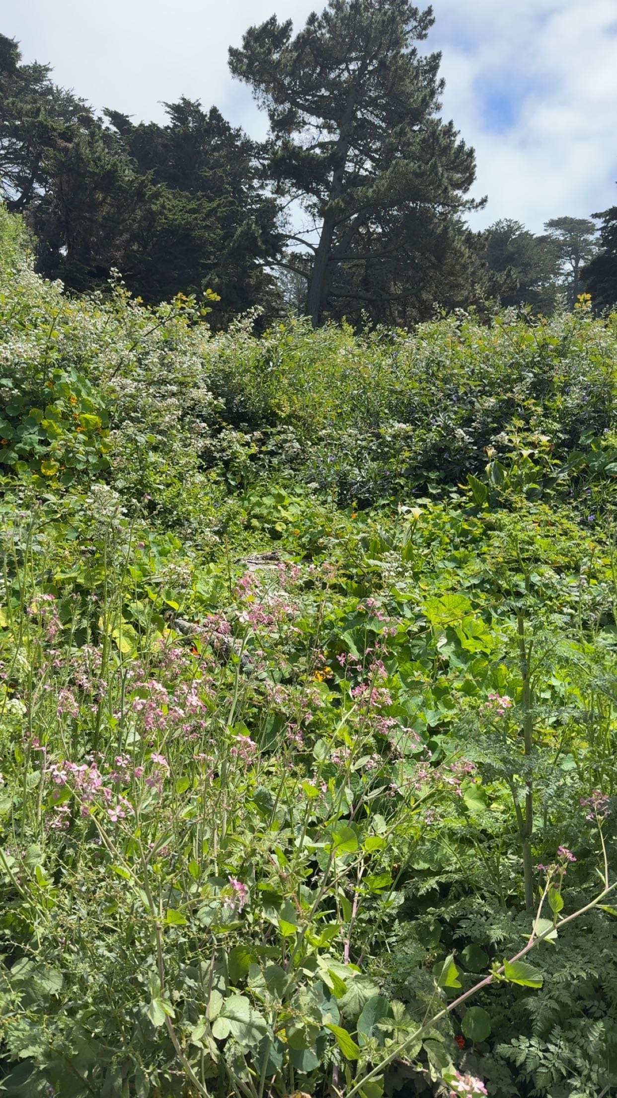 kaiileymae snapchat image archive image