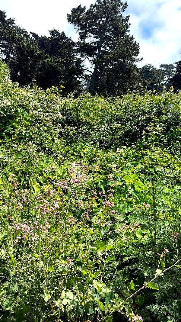 kaiileymae image ~ Altpins