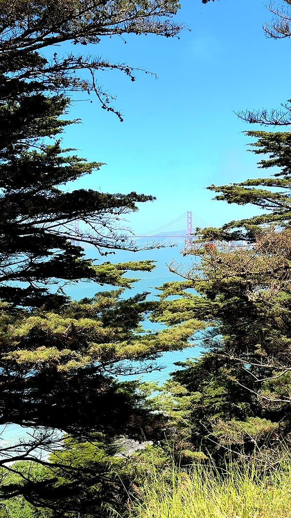 kaiileymae image ~ Altpins