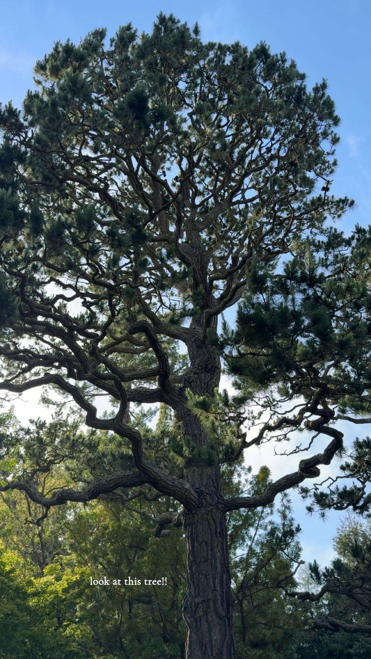 kaiileymae snapchat image archive image