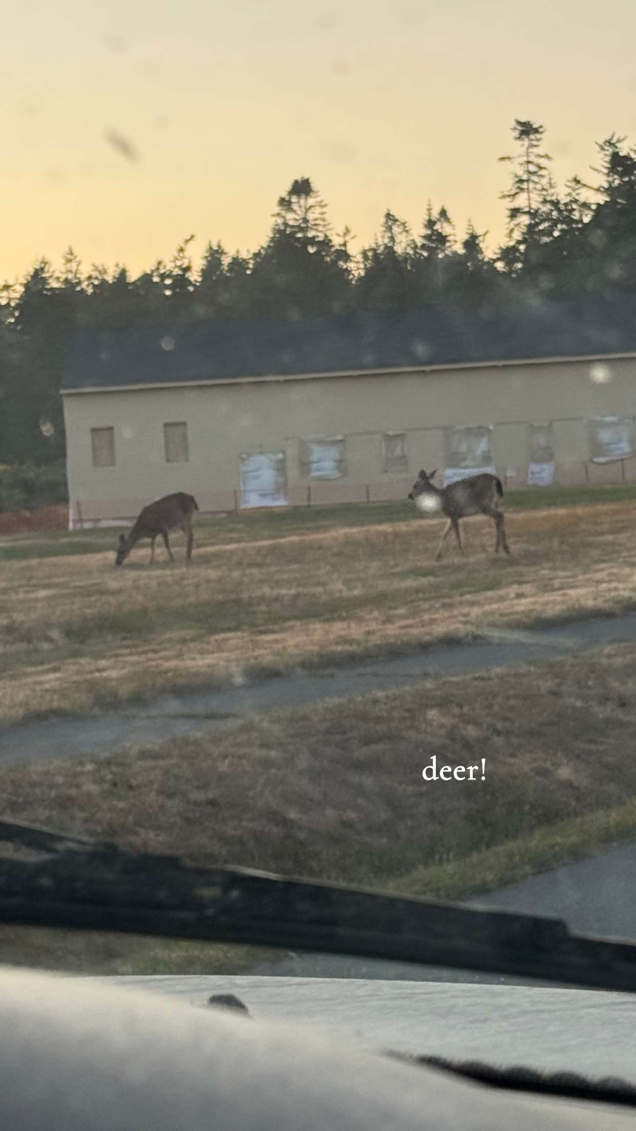 kaiileymae snapchat image archive image