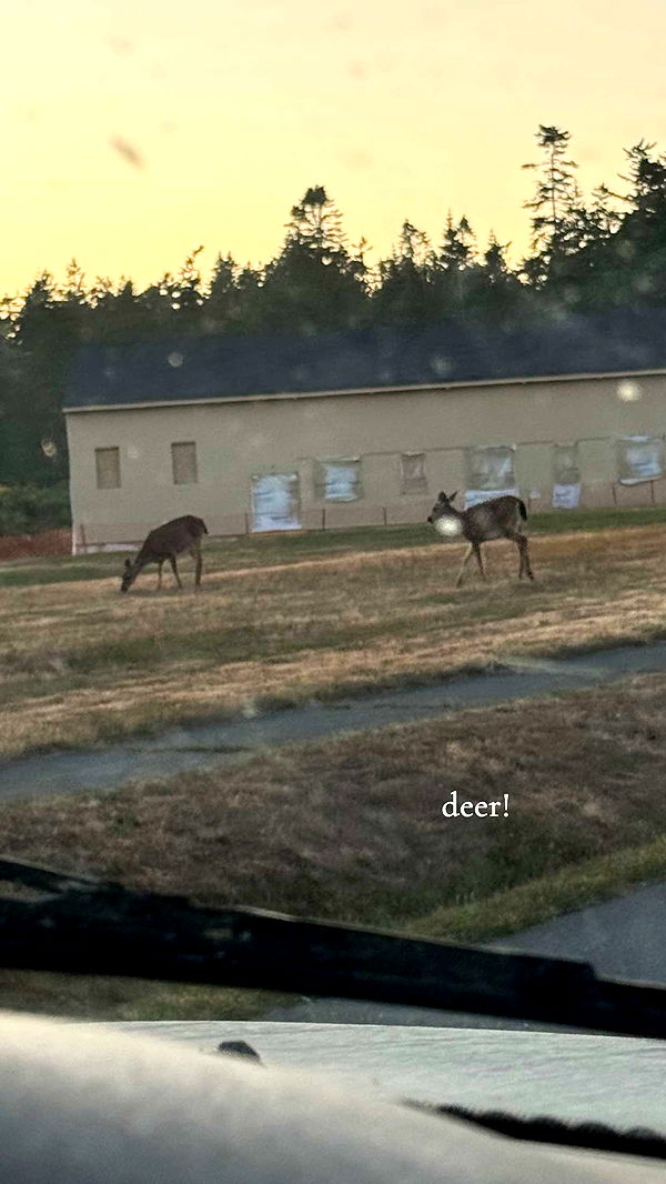 kaiileymae image ~ Altpins