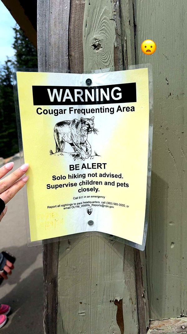 kaiileymae image ~ Altpins