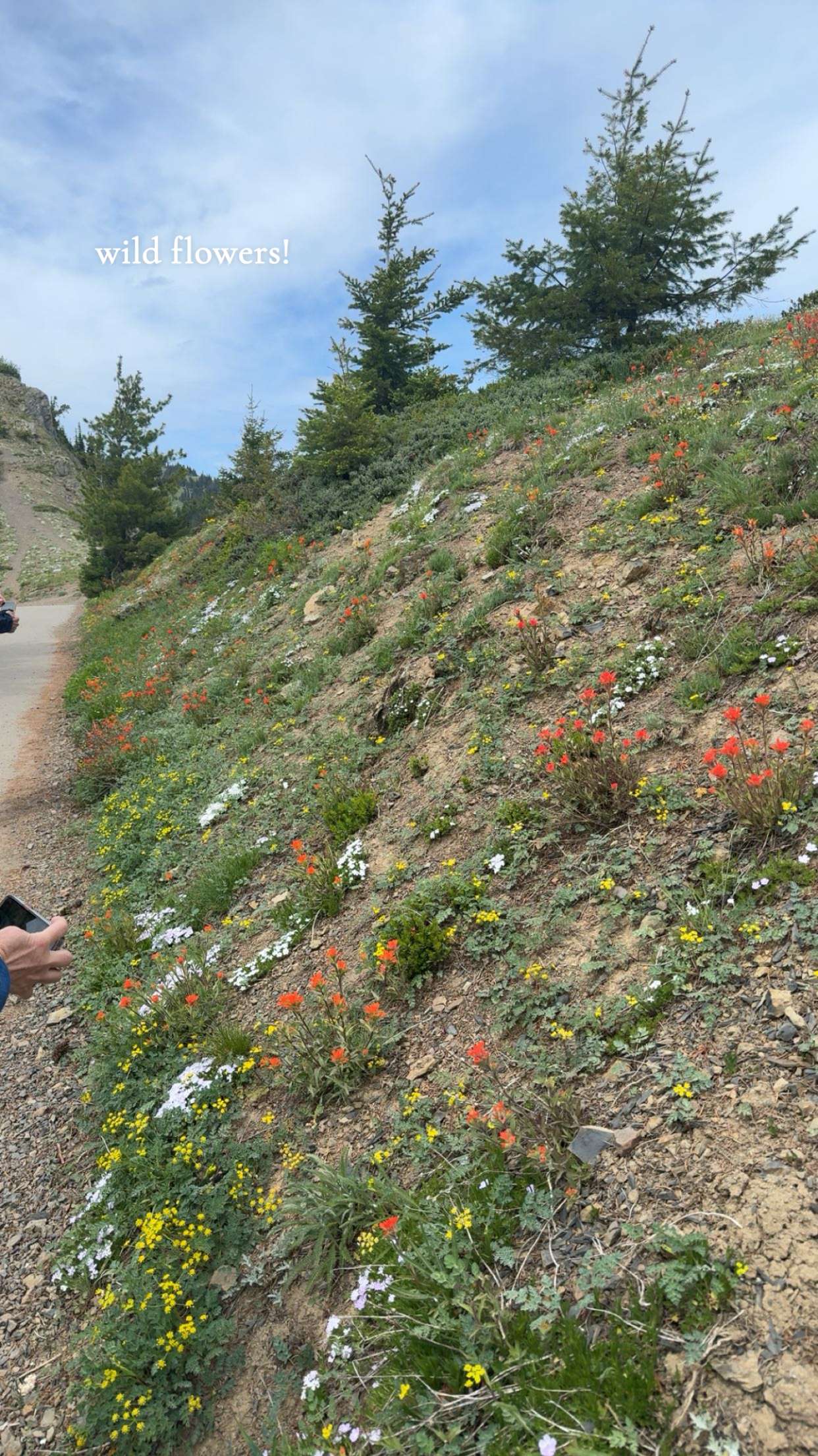 kaiileymae snapchat image archive image