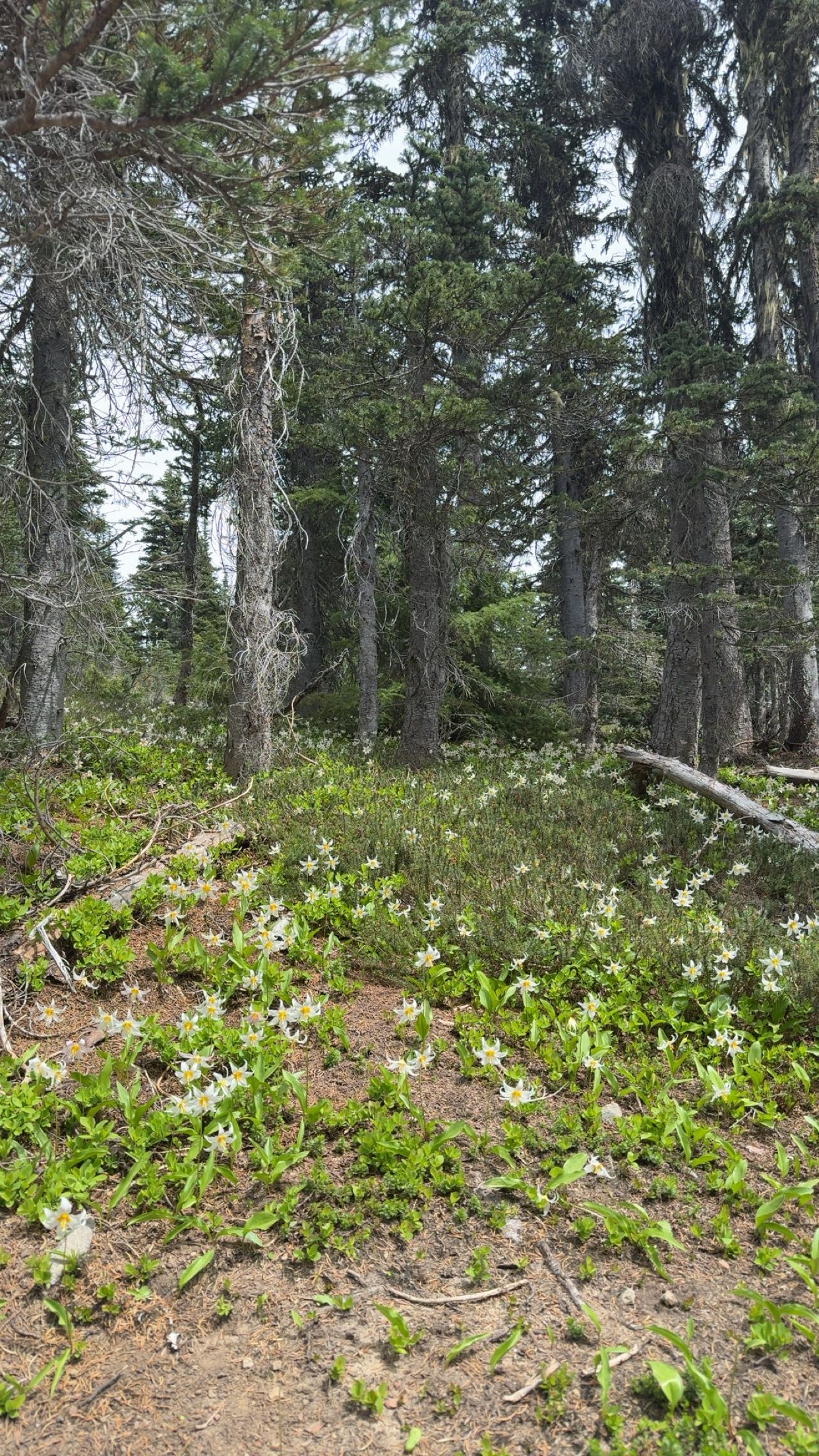 kaiileymae snapchat image archive image