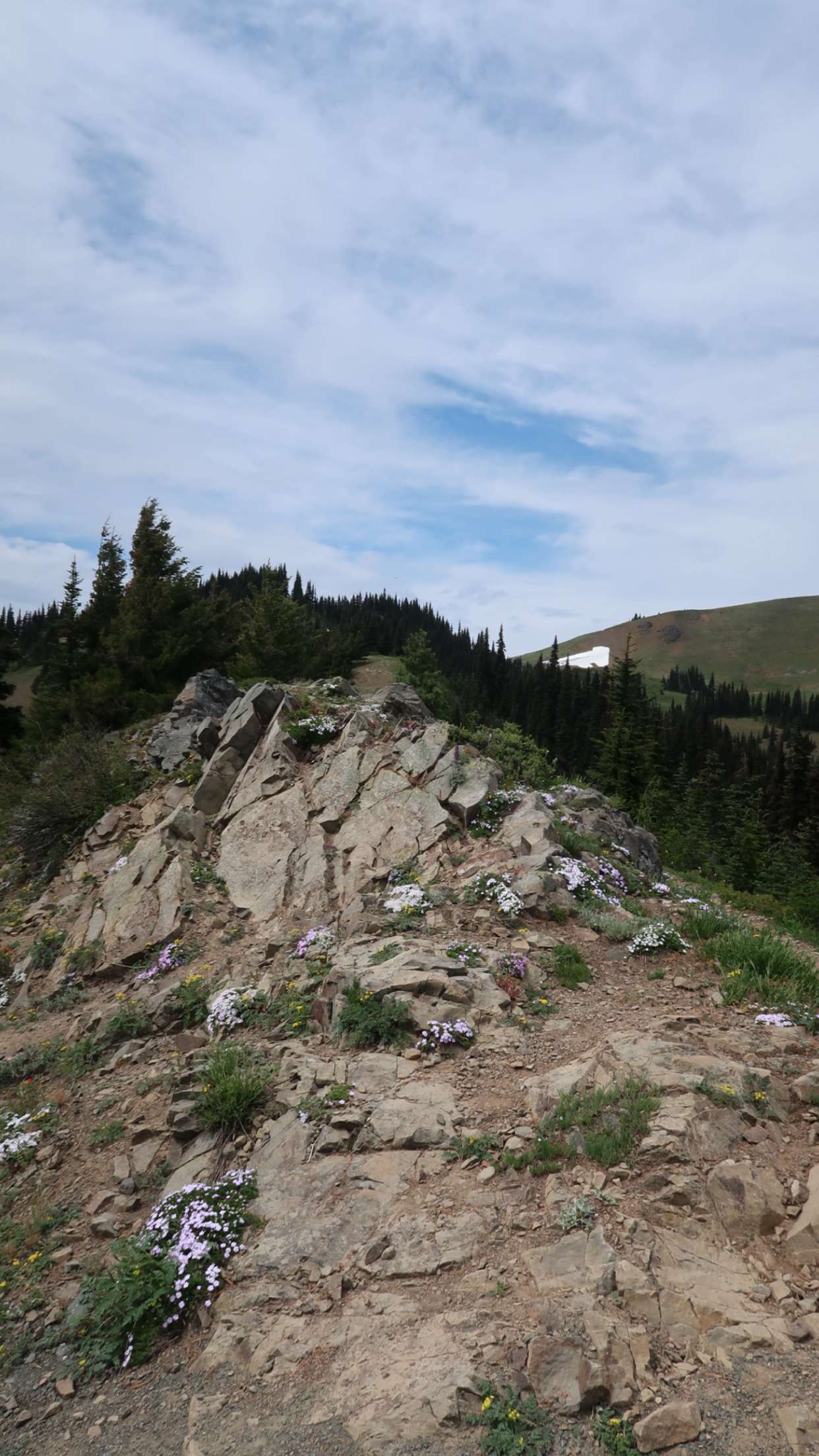 kaiileymae snapchat image archive image