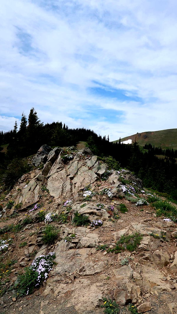 kaiileymae image ~ Altpins