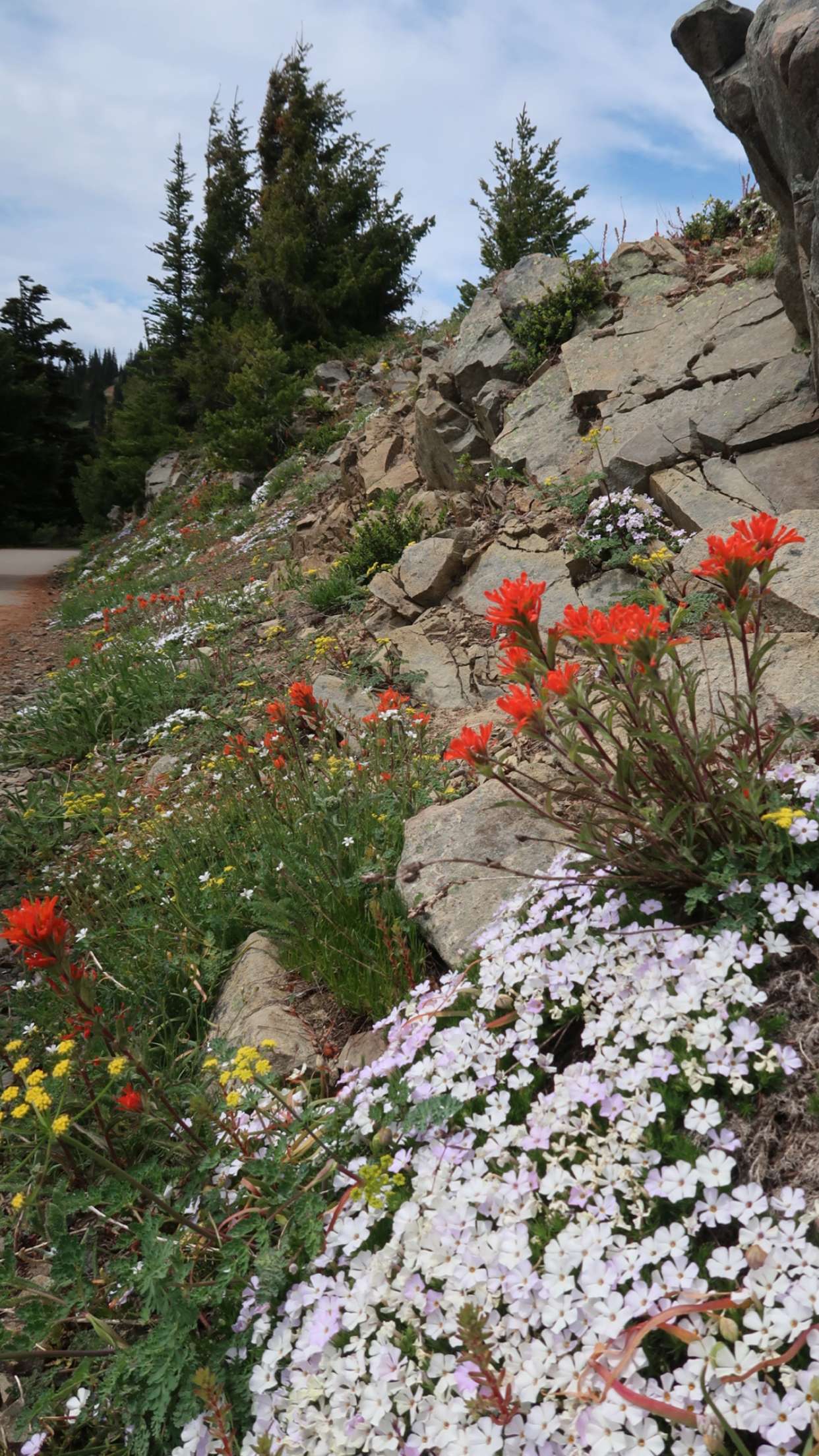 kaiileymae snapchat image archive image