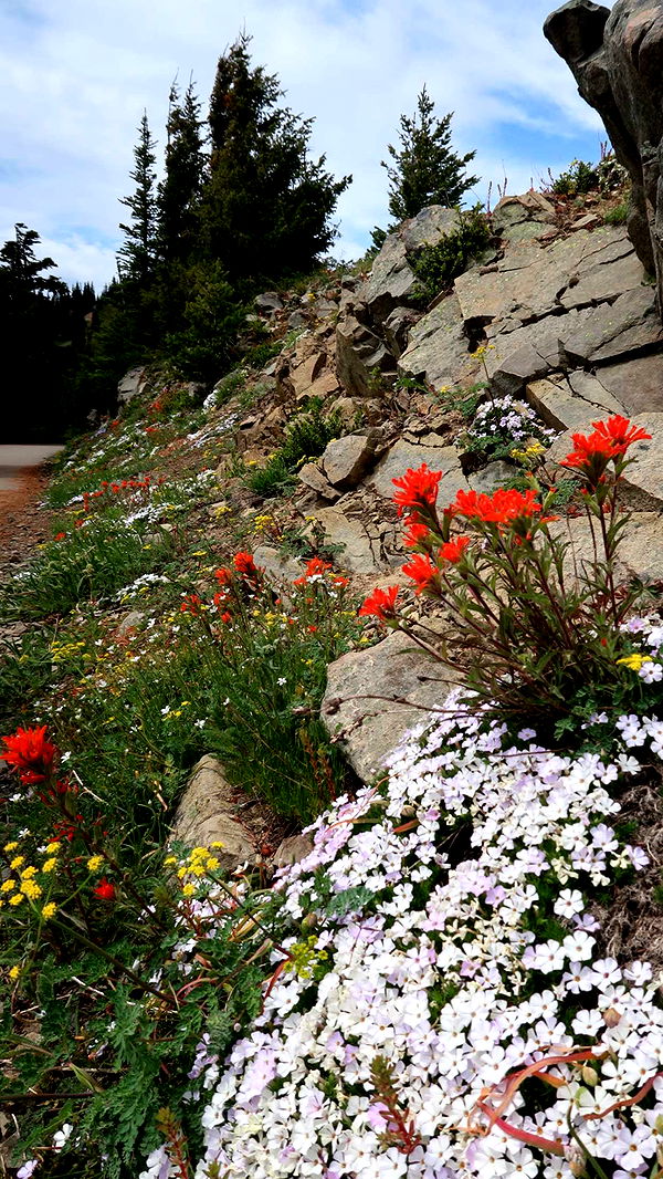 kaiileymae image ~ Altpins