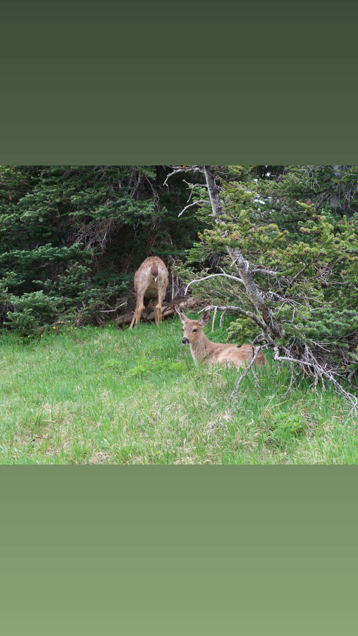 kaiileymae snapchat image archive image