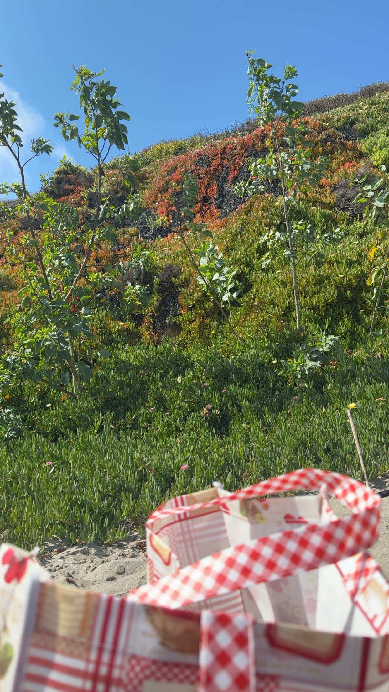 kaiileymae snapchat image archive image