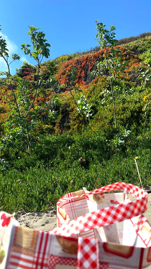 kaiileymae image ~ Altpins