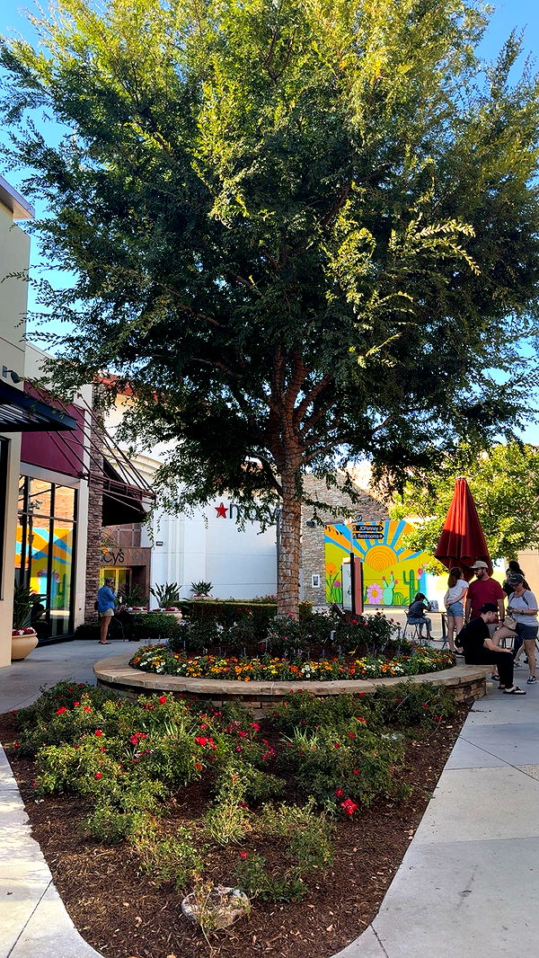 kaiileymae image ~ Altpins