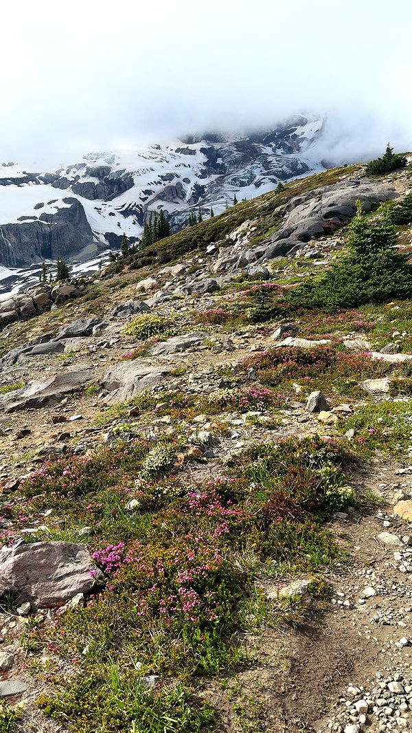 kaiileymae image ~ Altpins