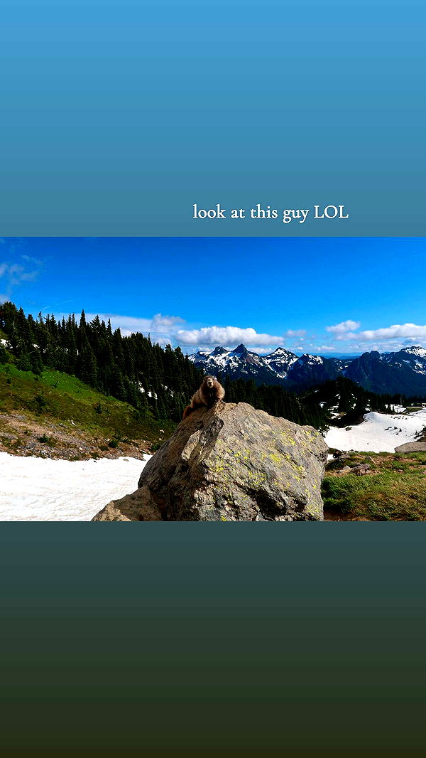 kaiileymae image ~ Altpins