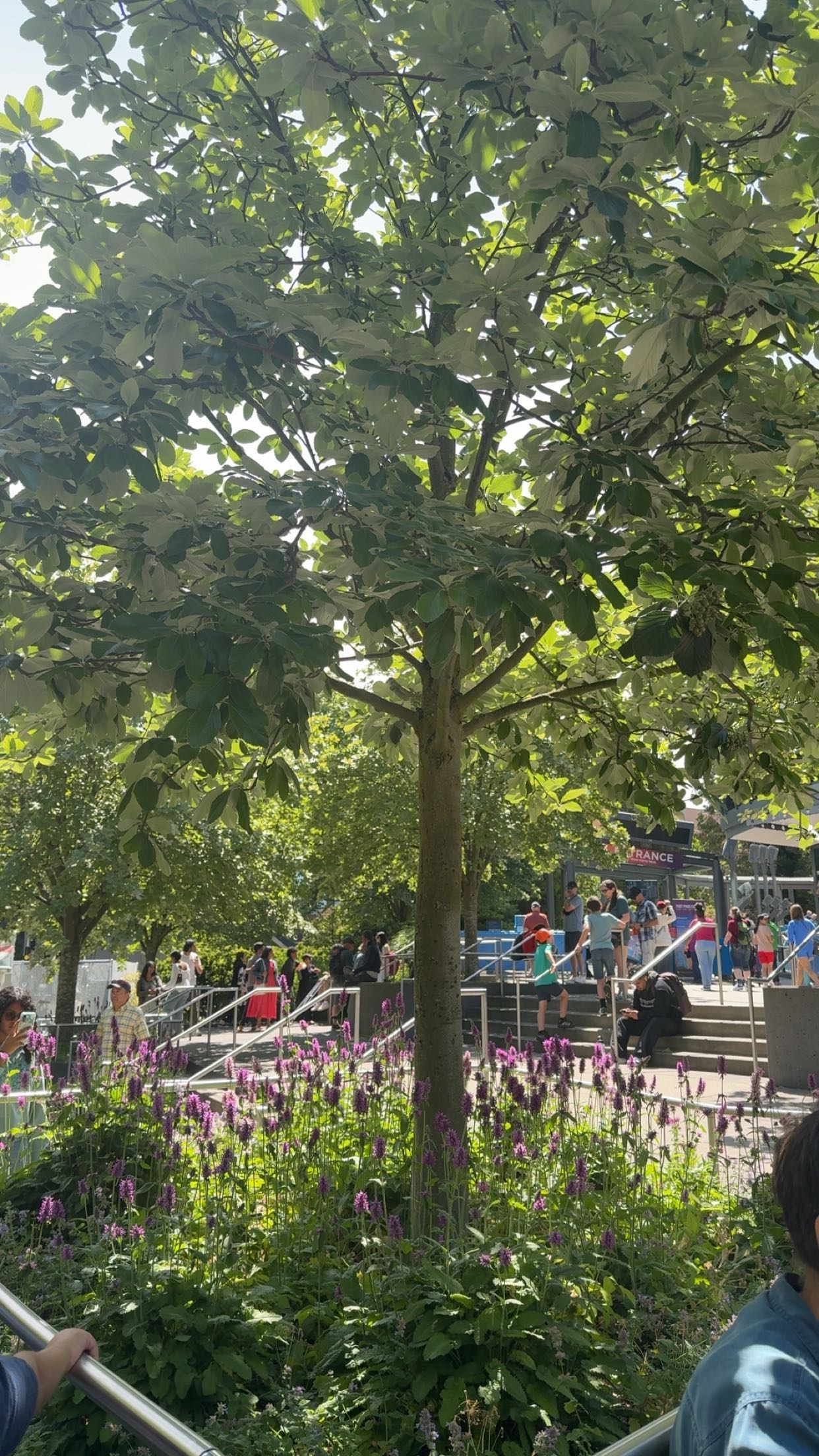 kaiileymae snapchat image archive image