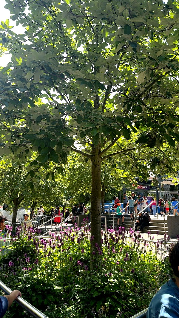 kaiileymae image ~ Altpins