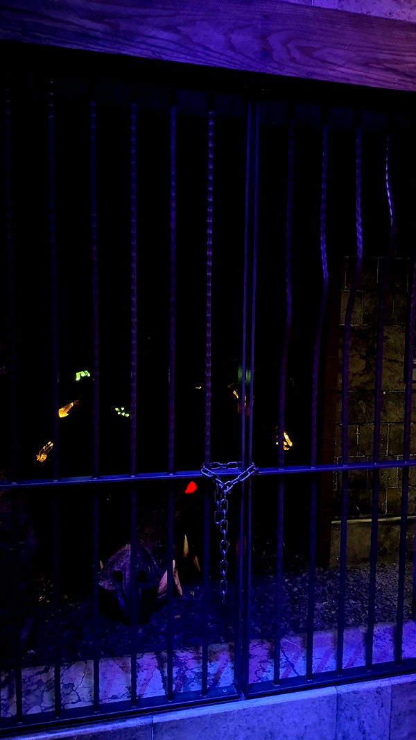 kaiileymae image ~ Altpins