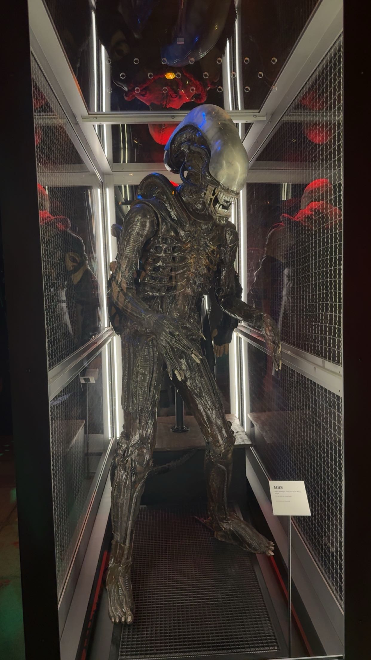 kaiileymae snapchat image archive image