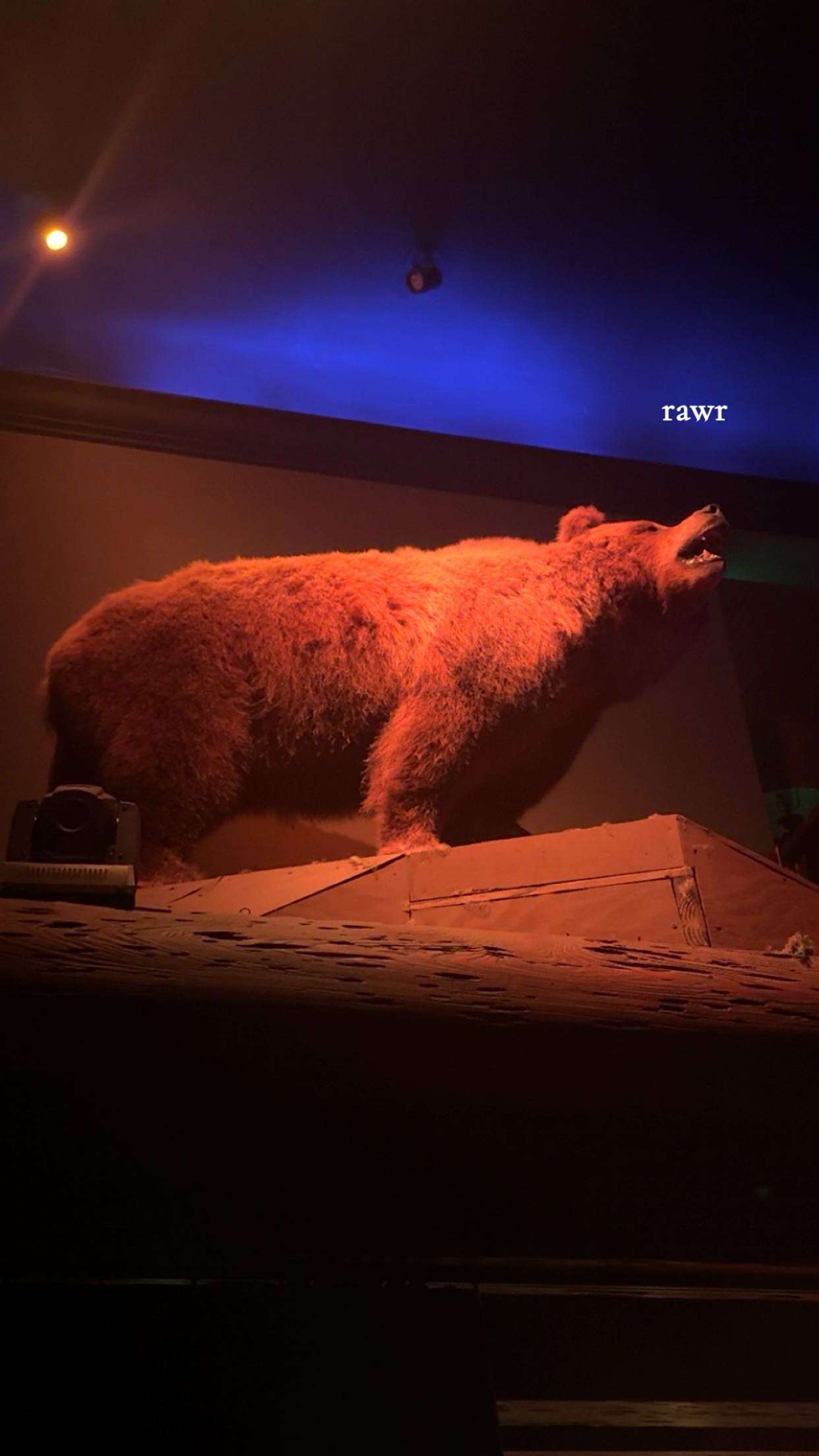 kaiileymae snapchat image archive image