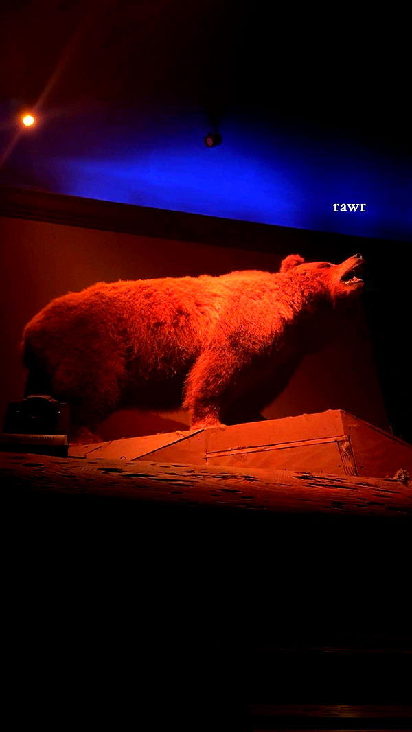 kaiileymae image ~ Altpins