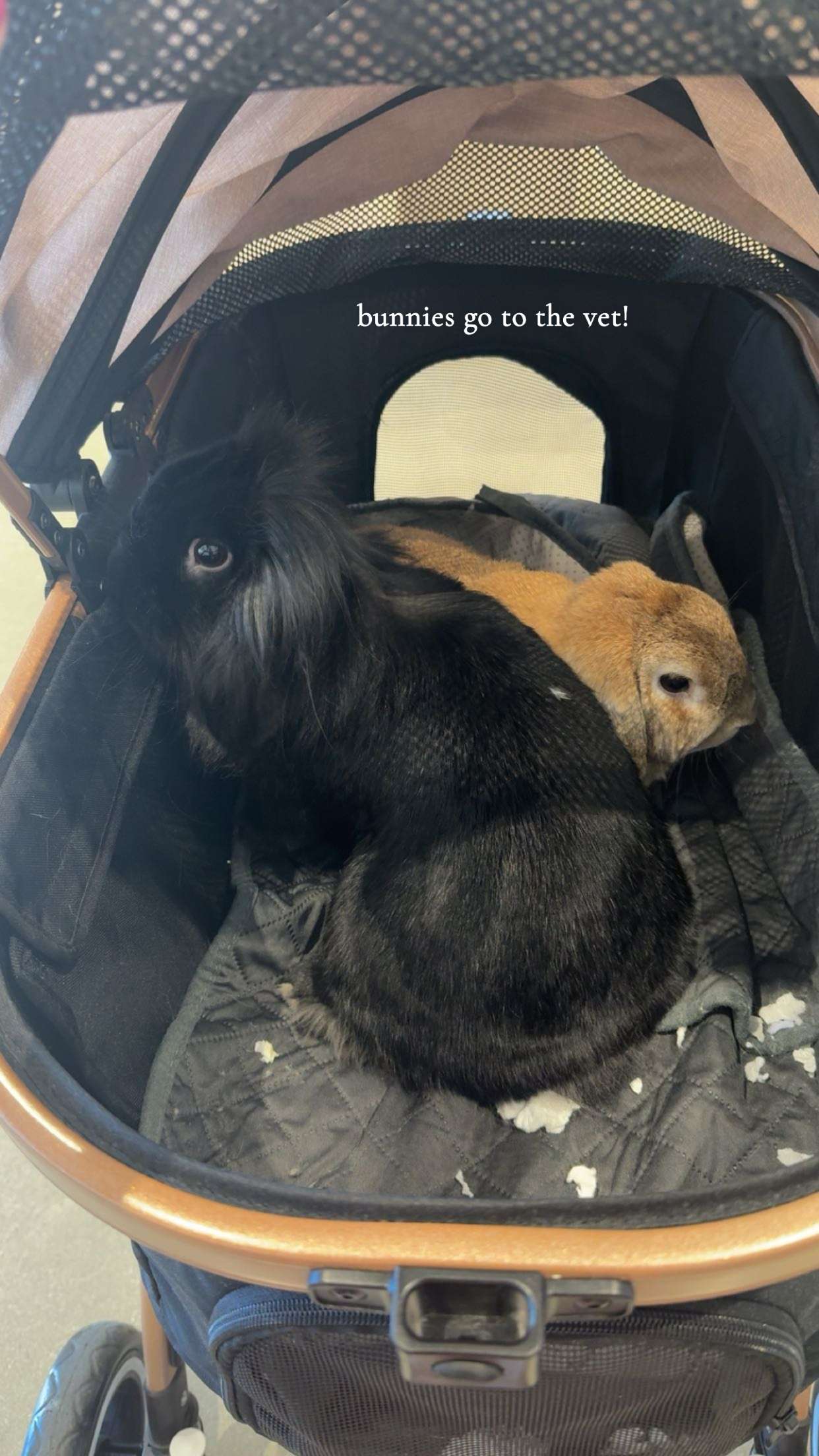 kaiileymae snapchat image archive image