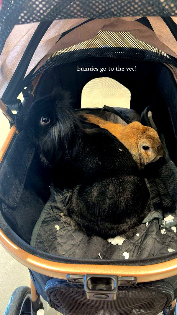 kaiileymae image ~ Altpins