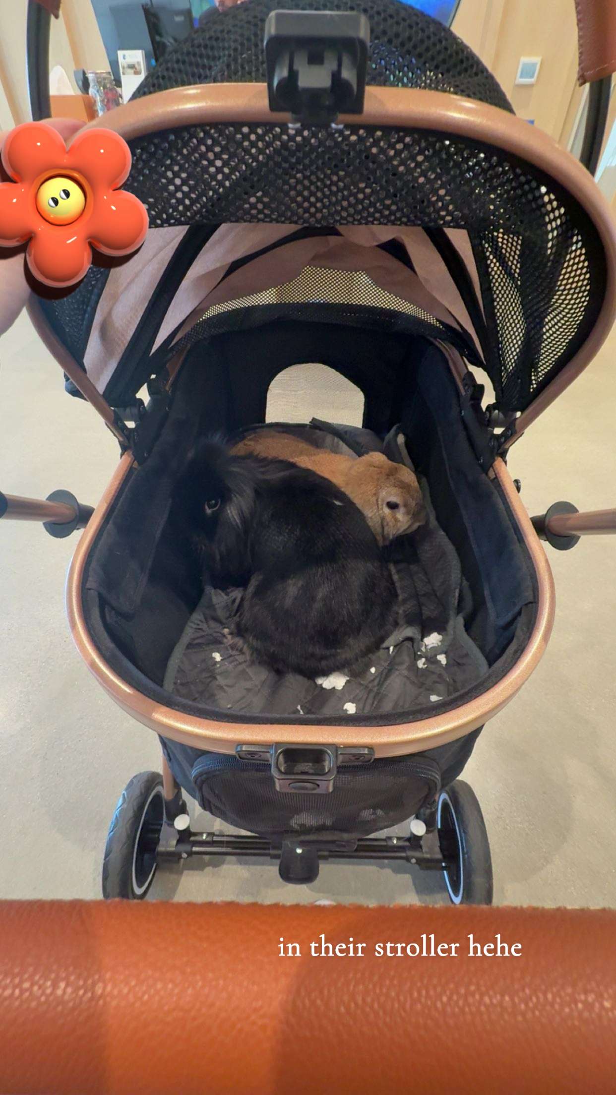 kaiileymae snapchat image archive image