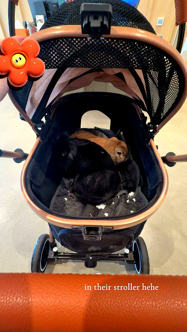 kaiileymae image ~ Altpins