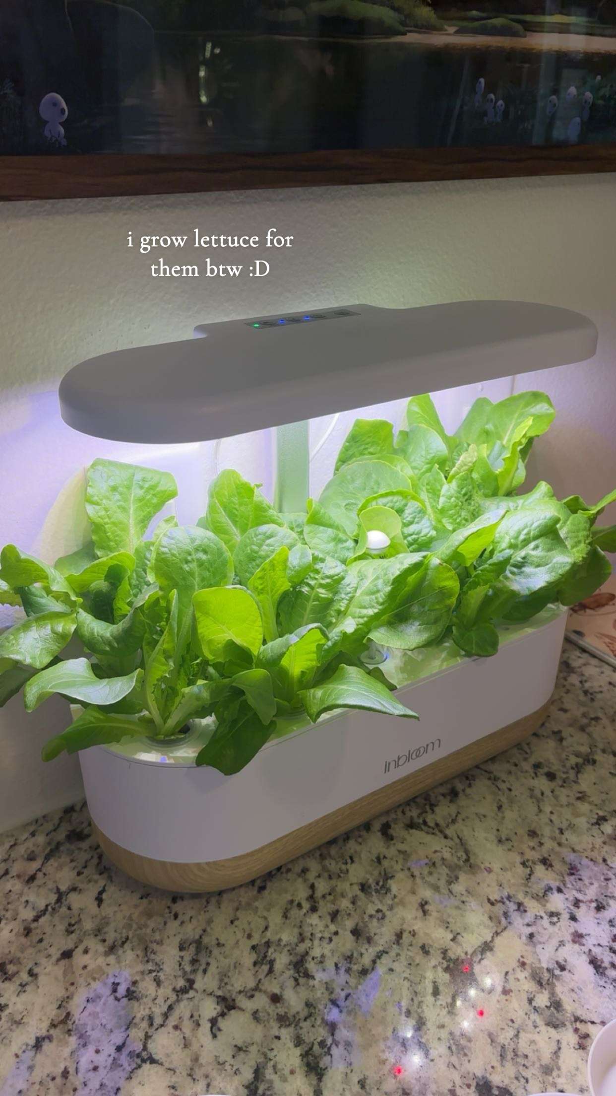 kaiileymae snapchat image archive image