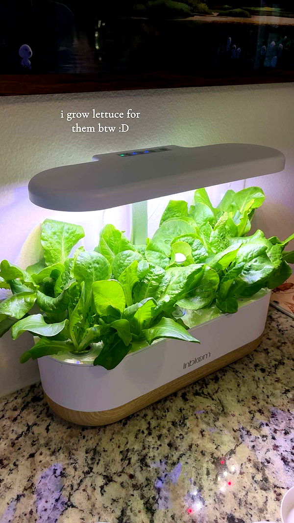 kaiileymae image ~ Altpins