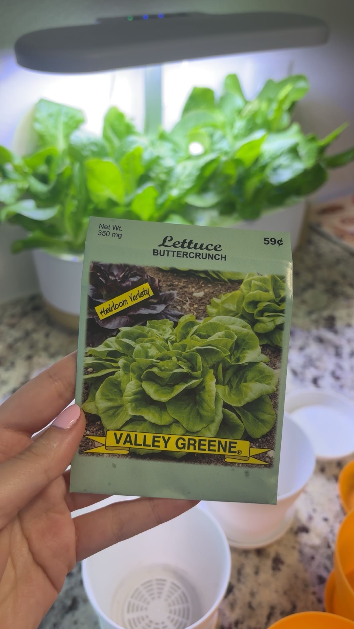 kaiileymae snapchat image archive image