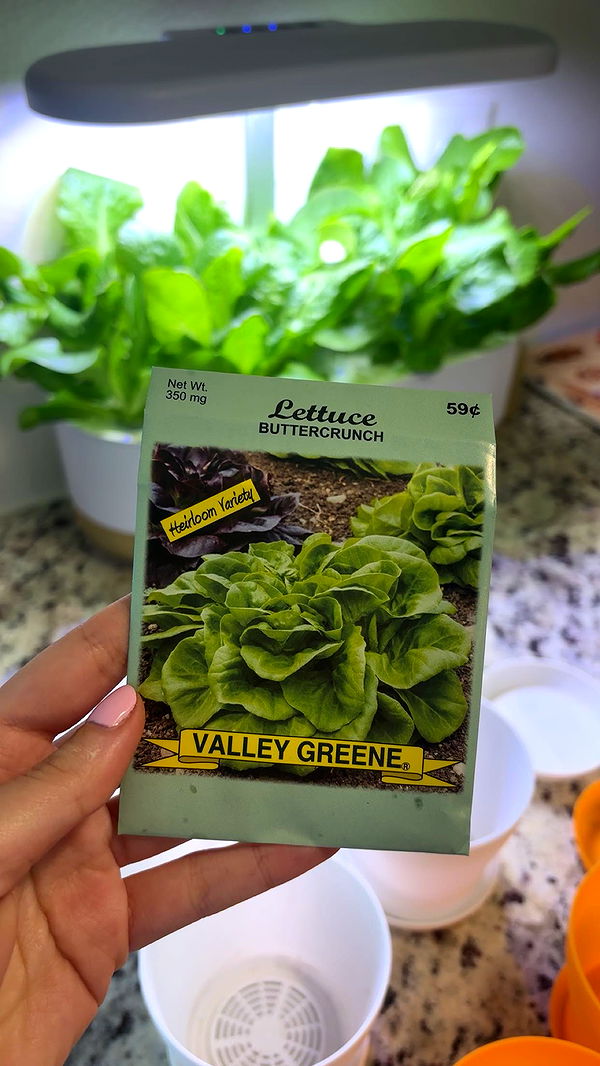 kaiileymae image ~ Altpins