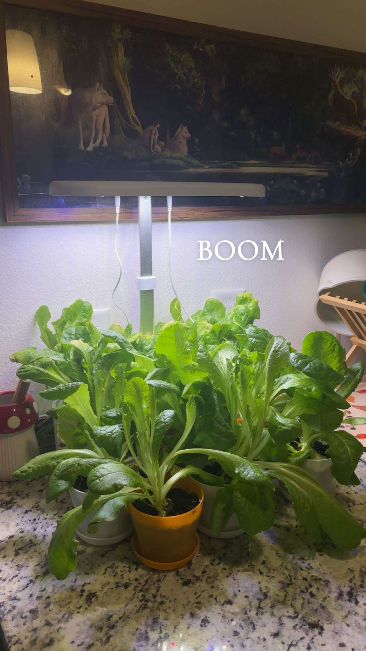 kaiileymae snapchat image archive image